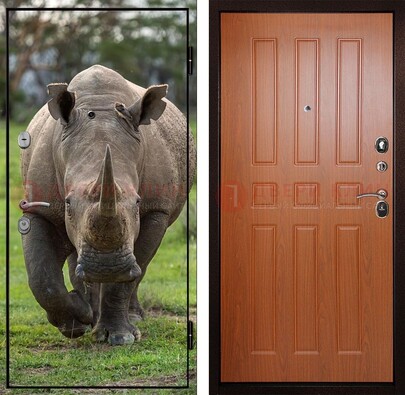 Металлическая дверь с фотопечатью носорога ДФ-31 в Серпухове